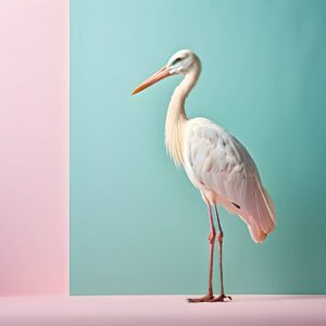 Fototapeta Pastelowy Żuraw Elegancji