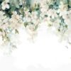 Fototapeta Botaniczna Elegancja